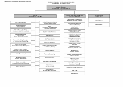 Schemat organizacyjny zakładu leczniczego Wojewódzki Szpital Zespolony