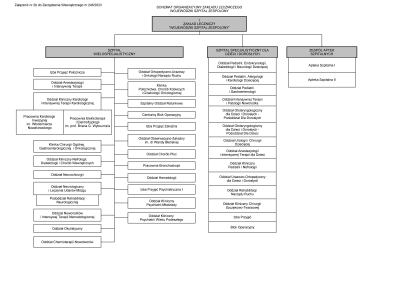 Schemat organizacyjny zakładu leczniczego Wojewódzki Szpital Zespolony