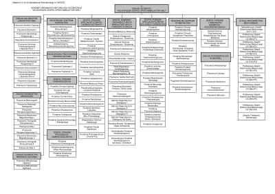 Schemat organizacyjny zakładu leczniczego Zespół Opieki Ambulatoryjnej