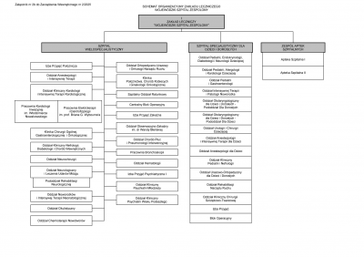 Schemat organizacyjny zakładu leczniczego Wojewódzki Szpital Zespolony