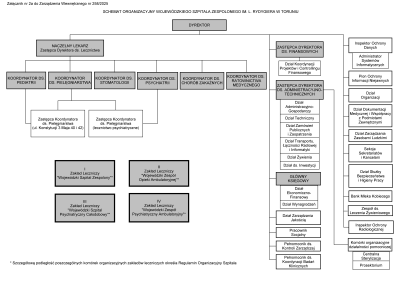 Schemat organizacyjny ogólny